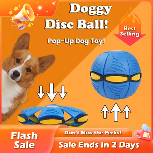🏆 Flash-Sale ⚡ Über 50.000x verkauft! Fast ausverkauft – 💥💥 Der Doggy Disc Ball 💞, das perfekte Geschenk (Geeignet für kleine Hunde)