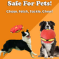 🏆 Flash-Sale ⚡ Über 50.000x verkauft! Fast ausverkauft – 💥💥 Der Doggy Disc Ball 💞, das perfekte Geschenk (Geeignet für kleine Hunde)